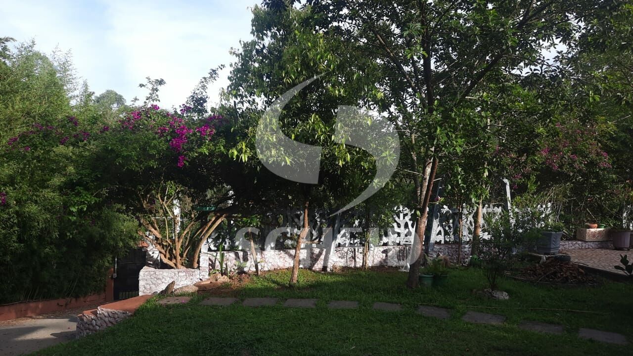 Foto 9
