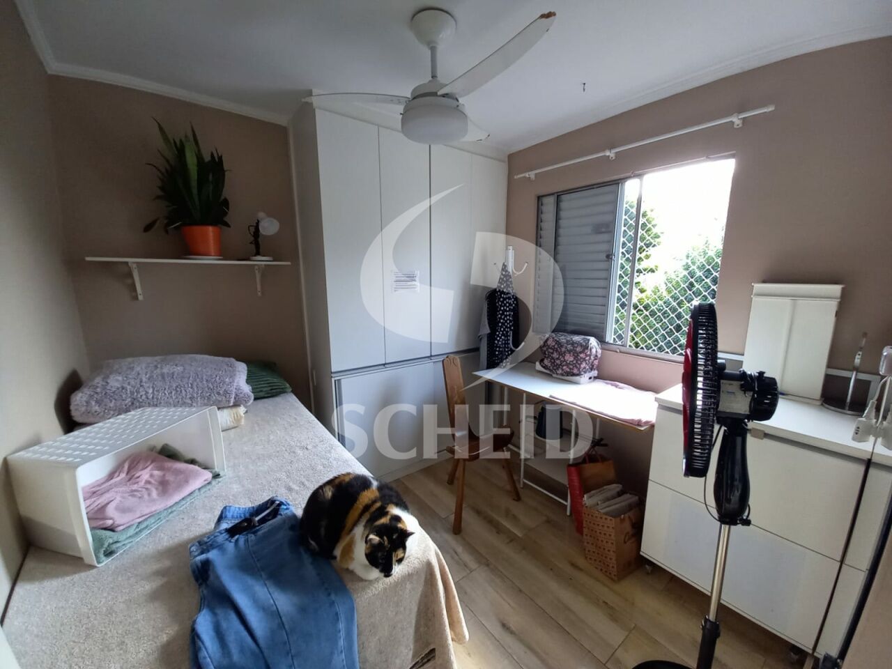 Foto 6