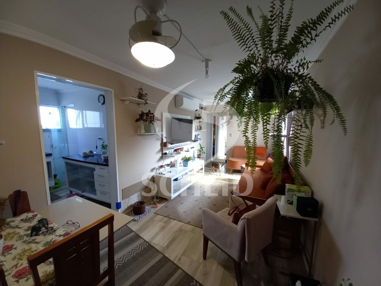 Foto 3