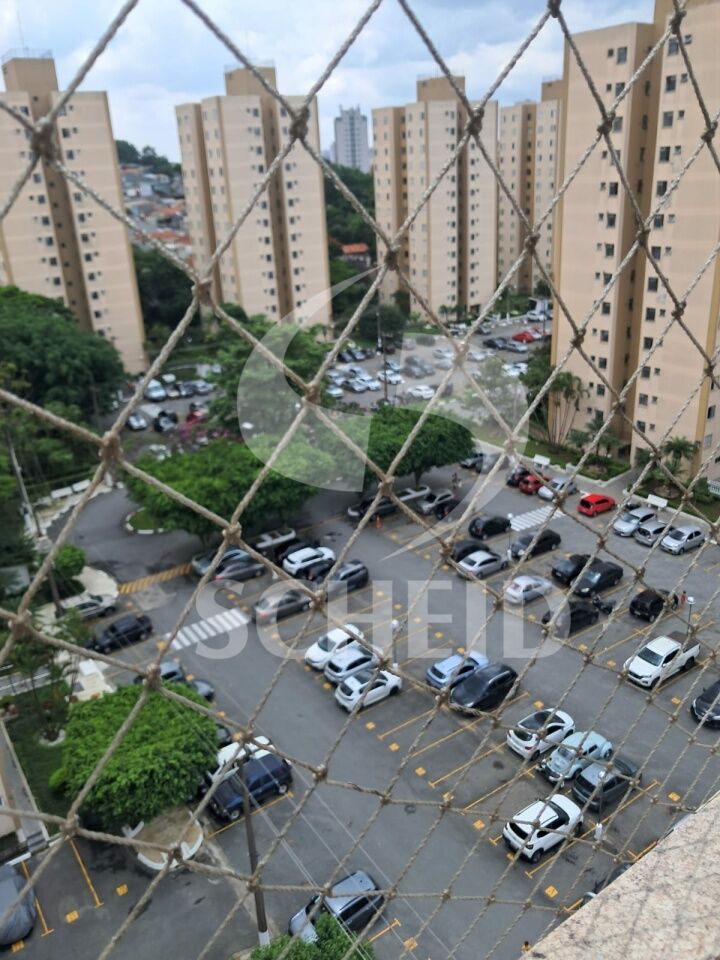 Foto 15