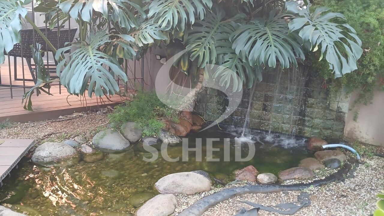Foto 24