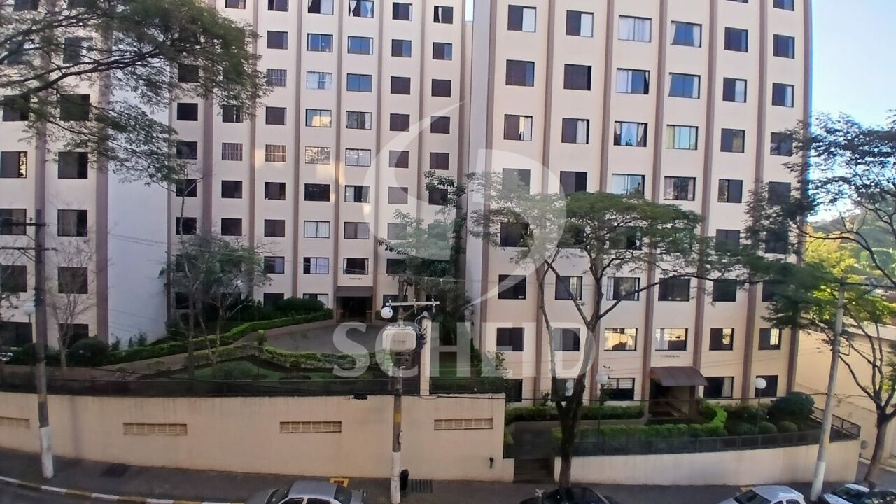 Foto 19