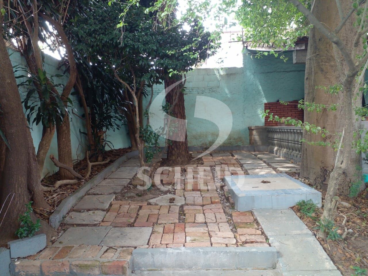 Foto 7