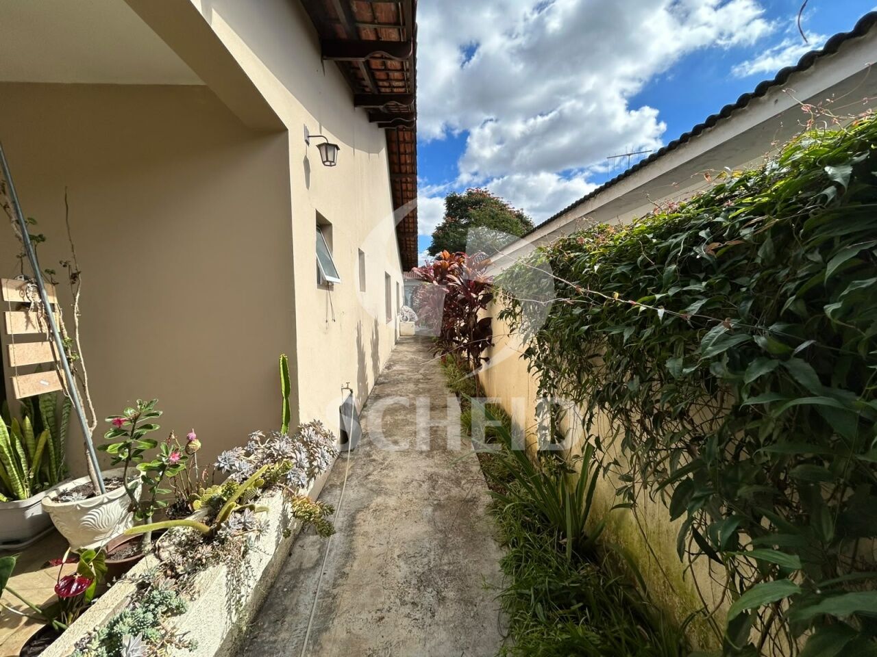 Foto 40