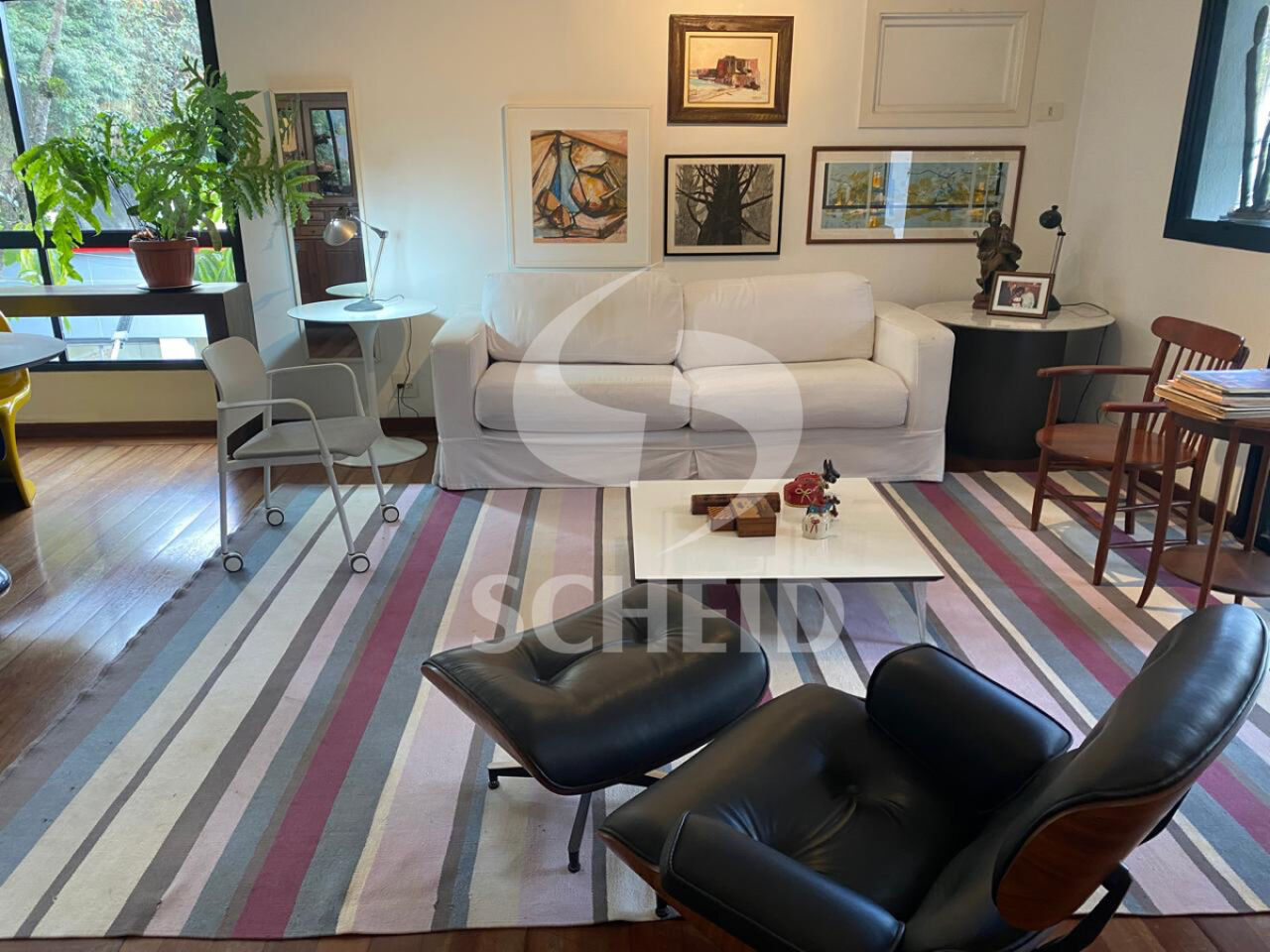 Foto 7