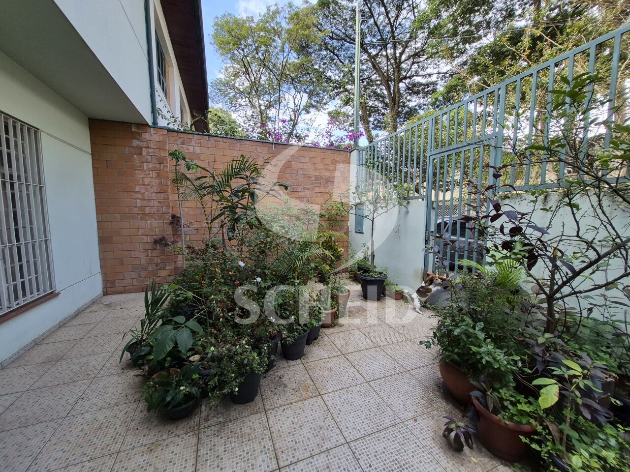 Foto 9