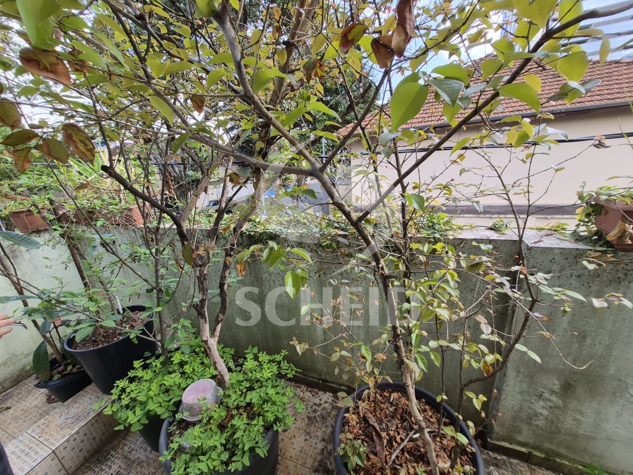Foto 33