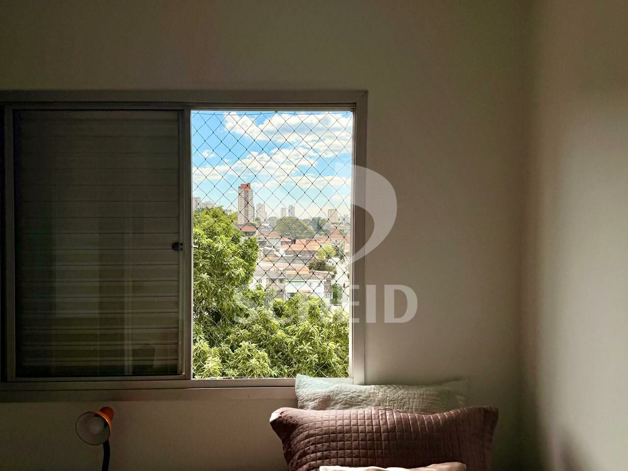 Foto 20