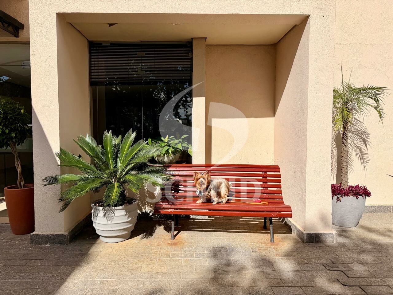 Foto 23