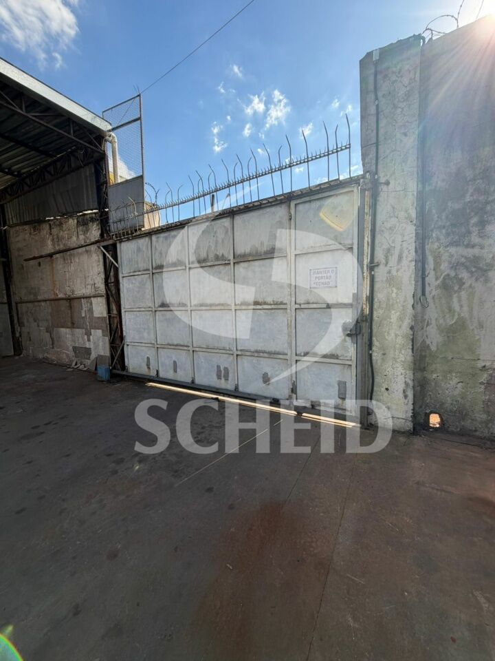 Foto 12