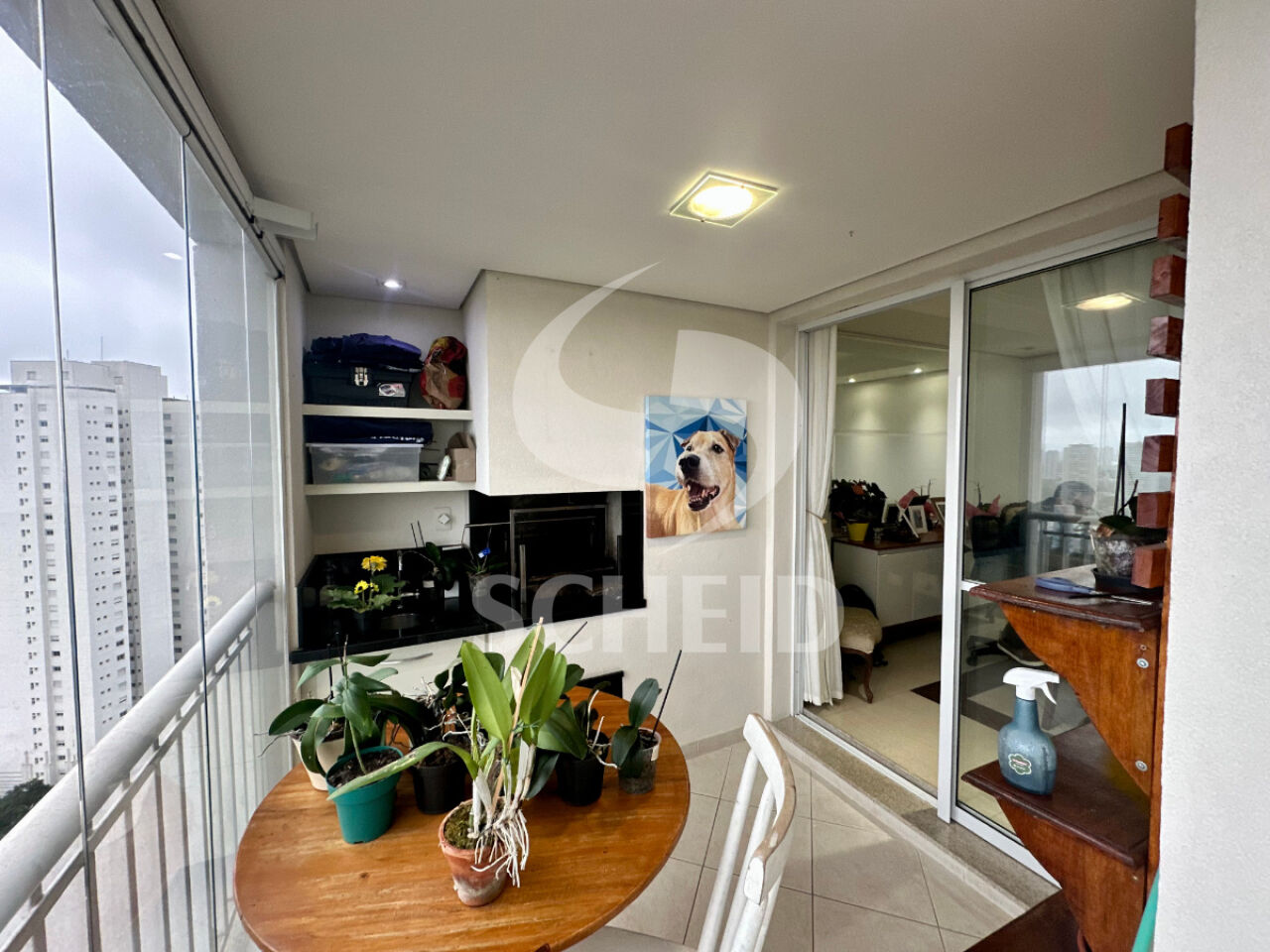 Foto 7