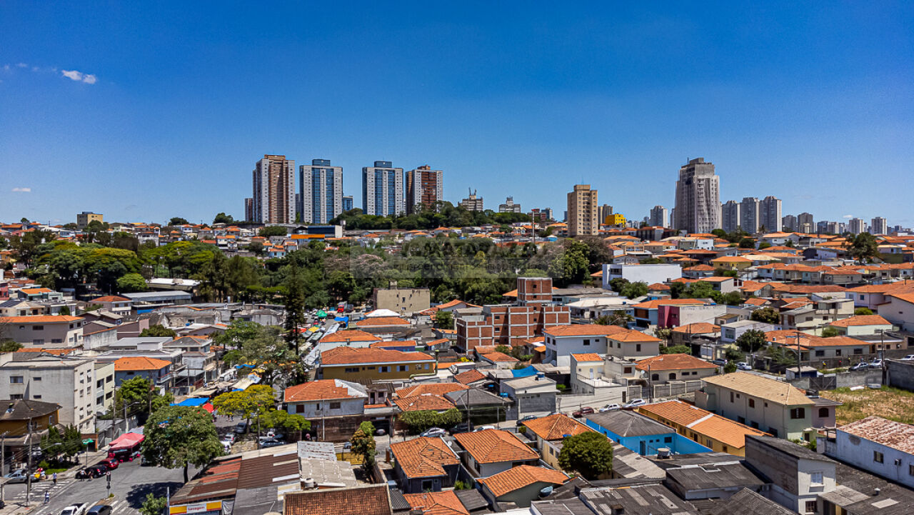 www.wmatarazzo.com.br