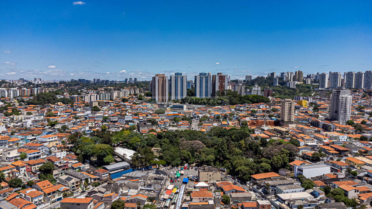 www.wmatarazzo.com.br