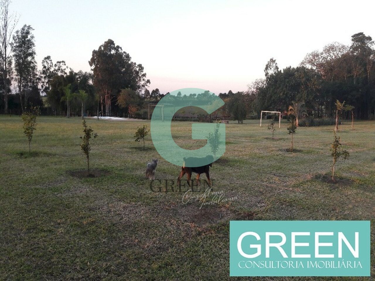 Sítio, 2 quartos, 1 hectares - Foto 6