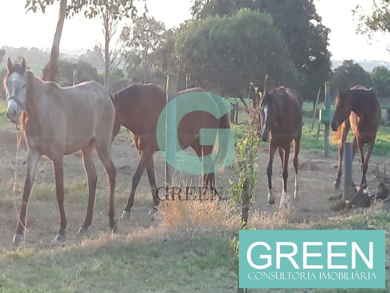 Sítio, 2 quartos, 1 hectares - Foto 7