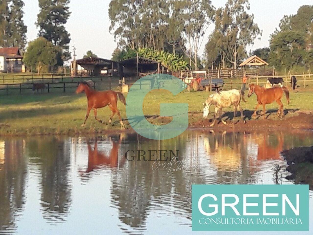 Sítio, 2 quartos, 1 hectares - Foto 10