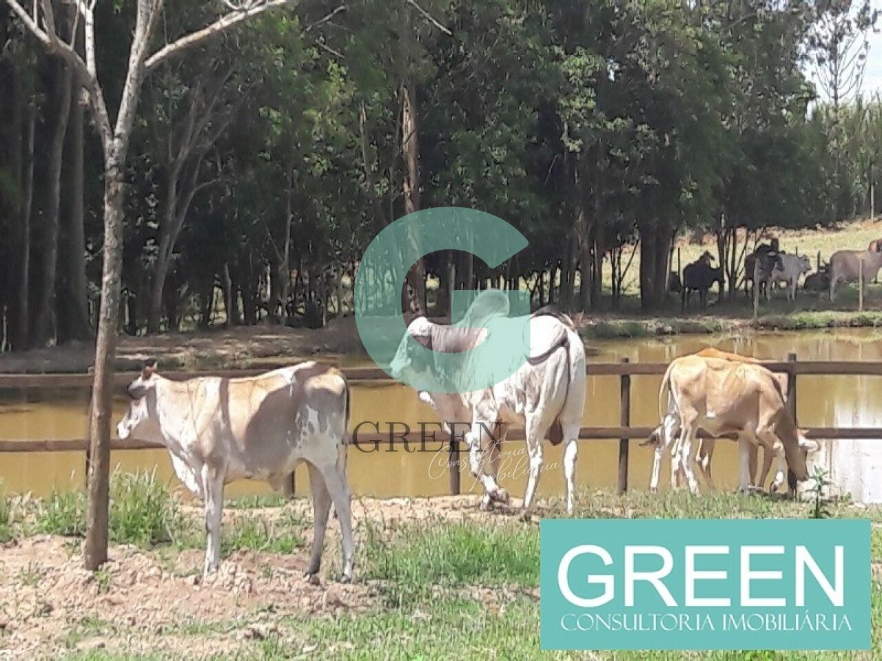 Sítio, 2 quartos, 1 hectares - Foto 12