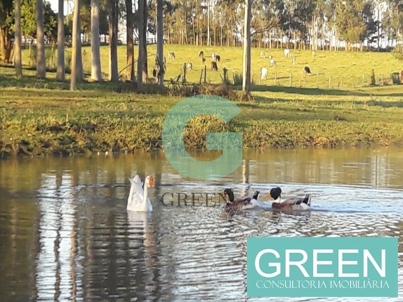 Sítio, 2 quartos, 1 hectares - Foto 2