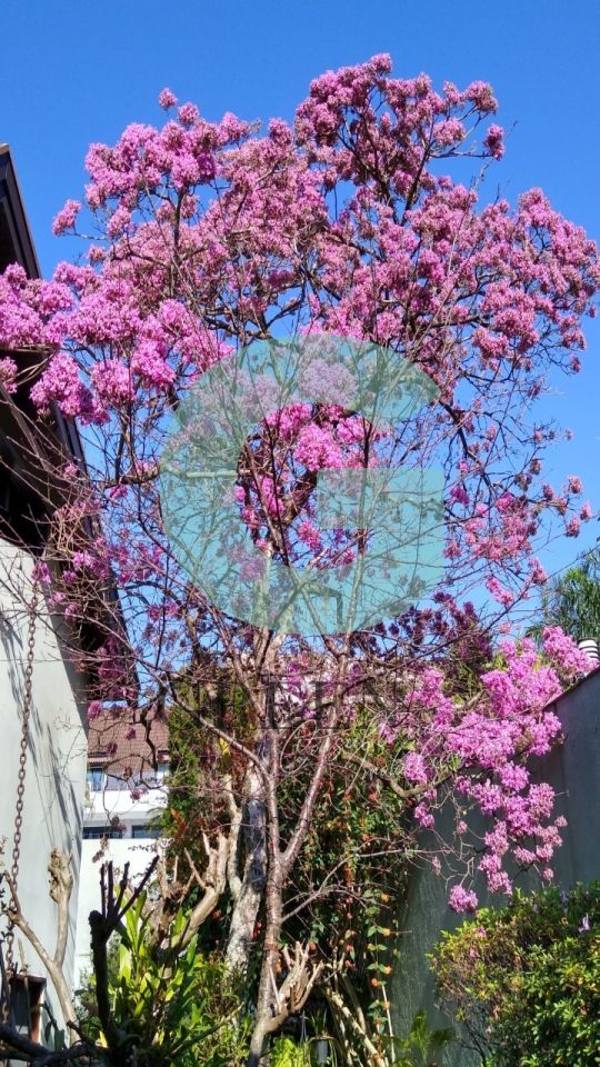 Casa, 4 quartos, 480 m² - Foto 17