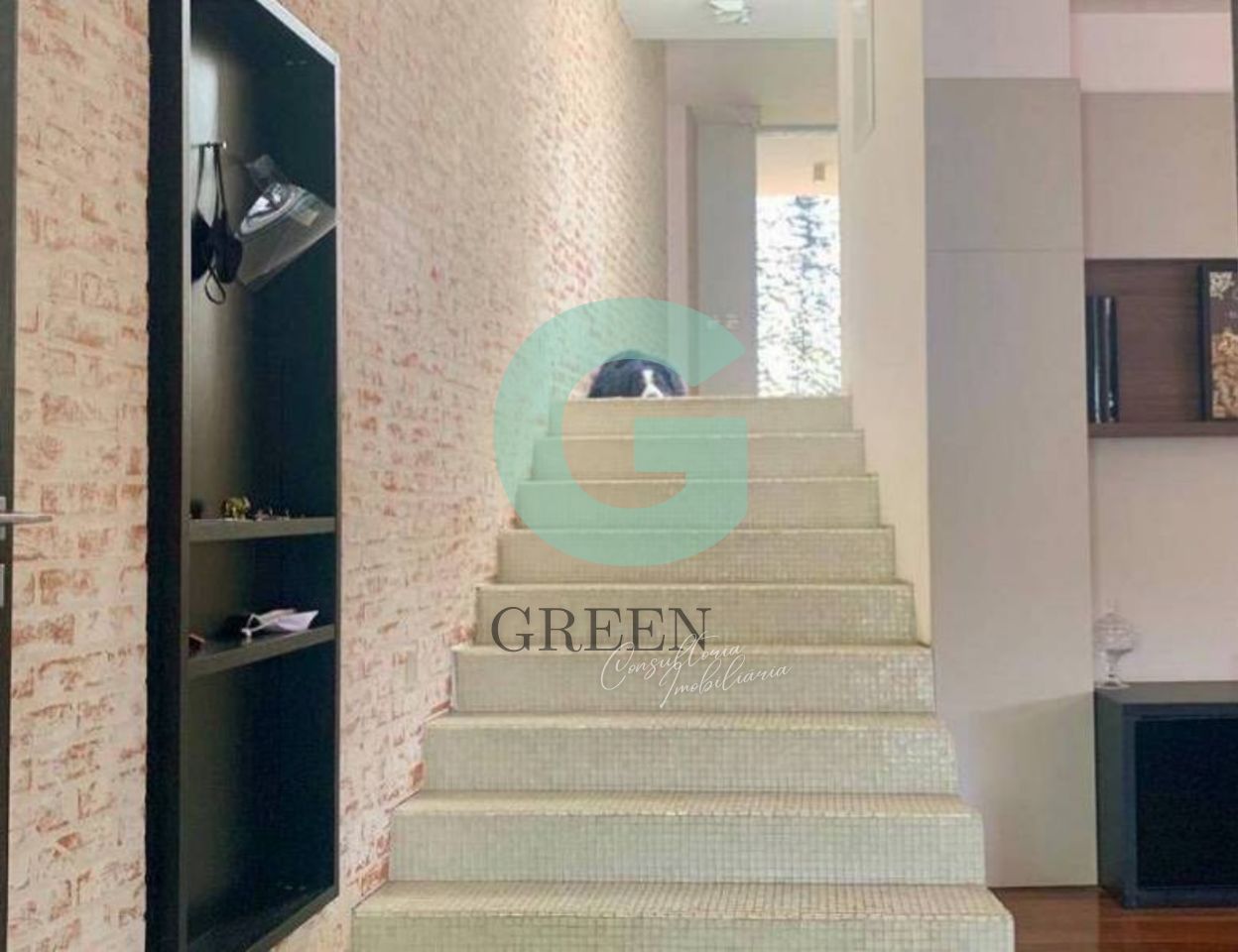 Casa, 4 quartos, 365 m² - Foto 14