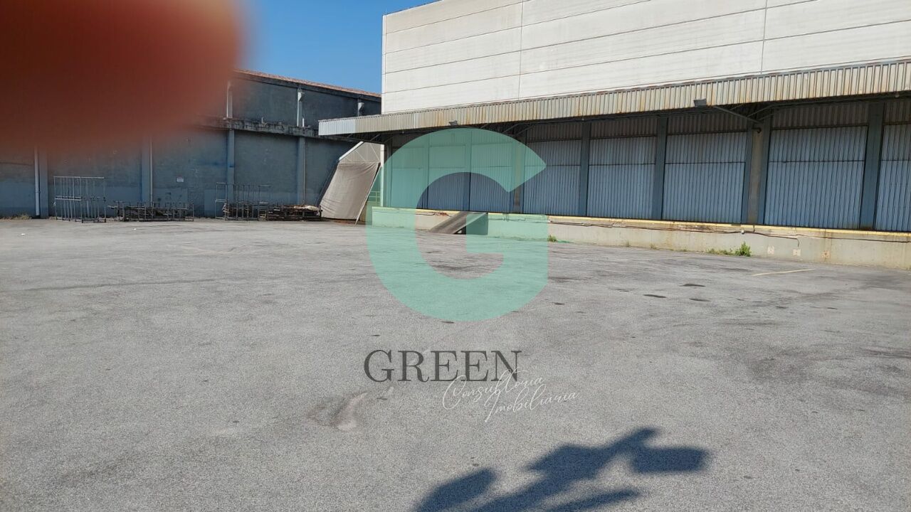 Depósito-Galpão, 5800 m² - Foto 2