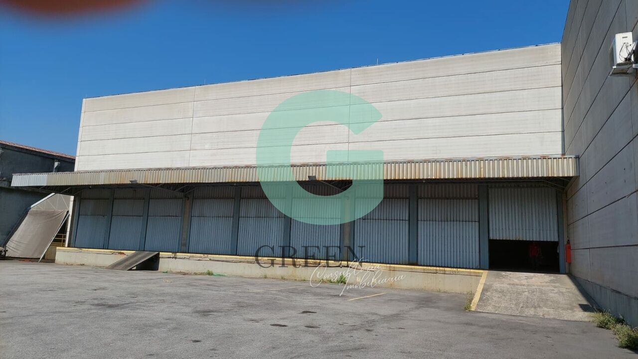 Depósito-Galpão, 5800 m² - Foto 4