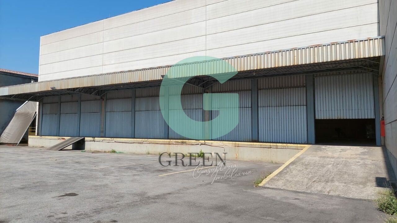 Depósito-Galpão, 5800 m² - Foto 6