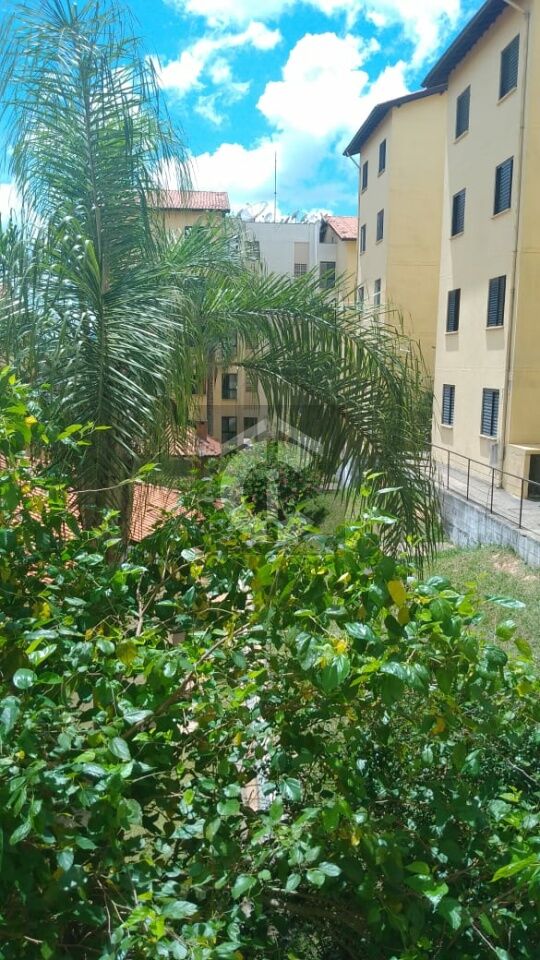 Apartamento para Venda - TERRA PRETA