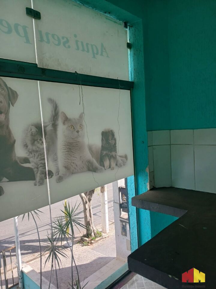 Foto 2 do imóvel MI16137