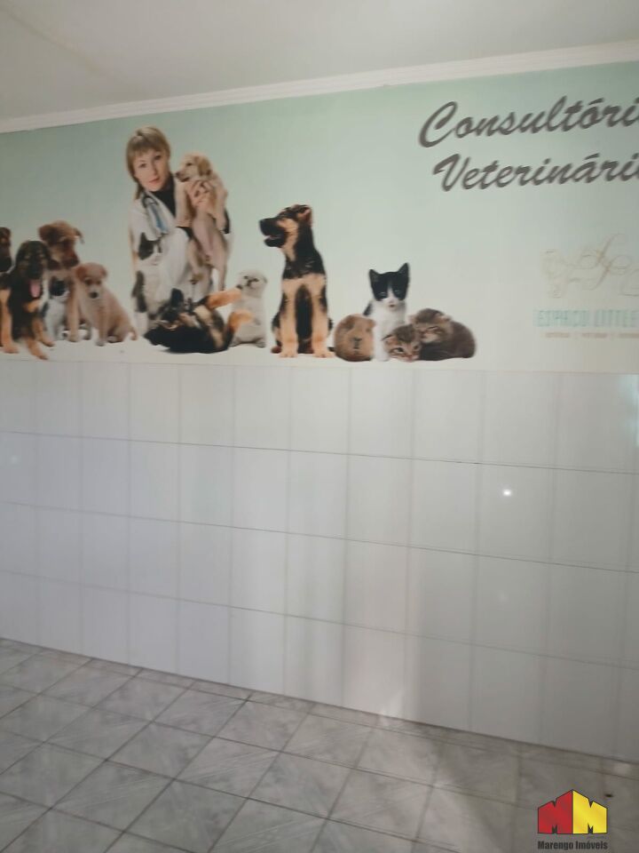 Foto 10 do imóvel MI16137