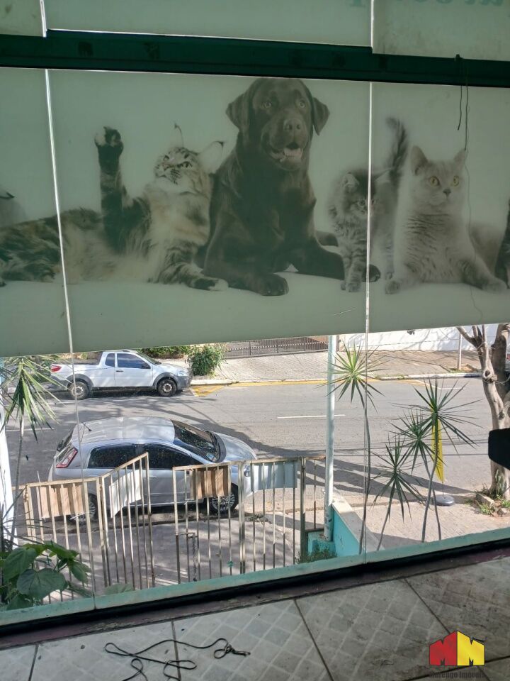 Foto 16 do imóvel MI16137