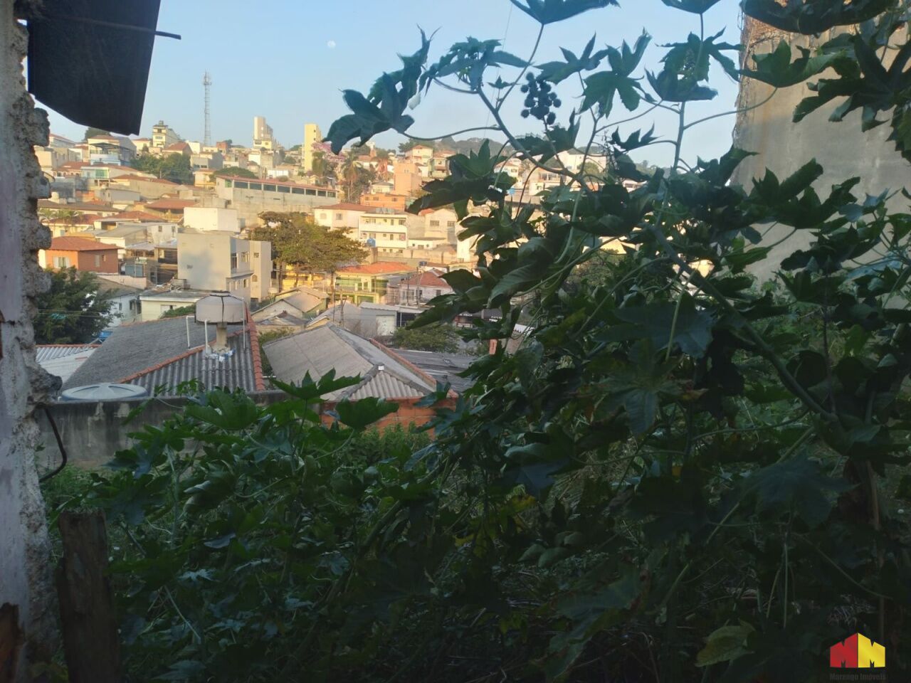 Foto 10 do imóvel MI17751