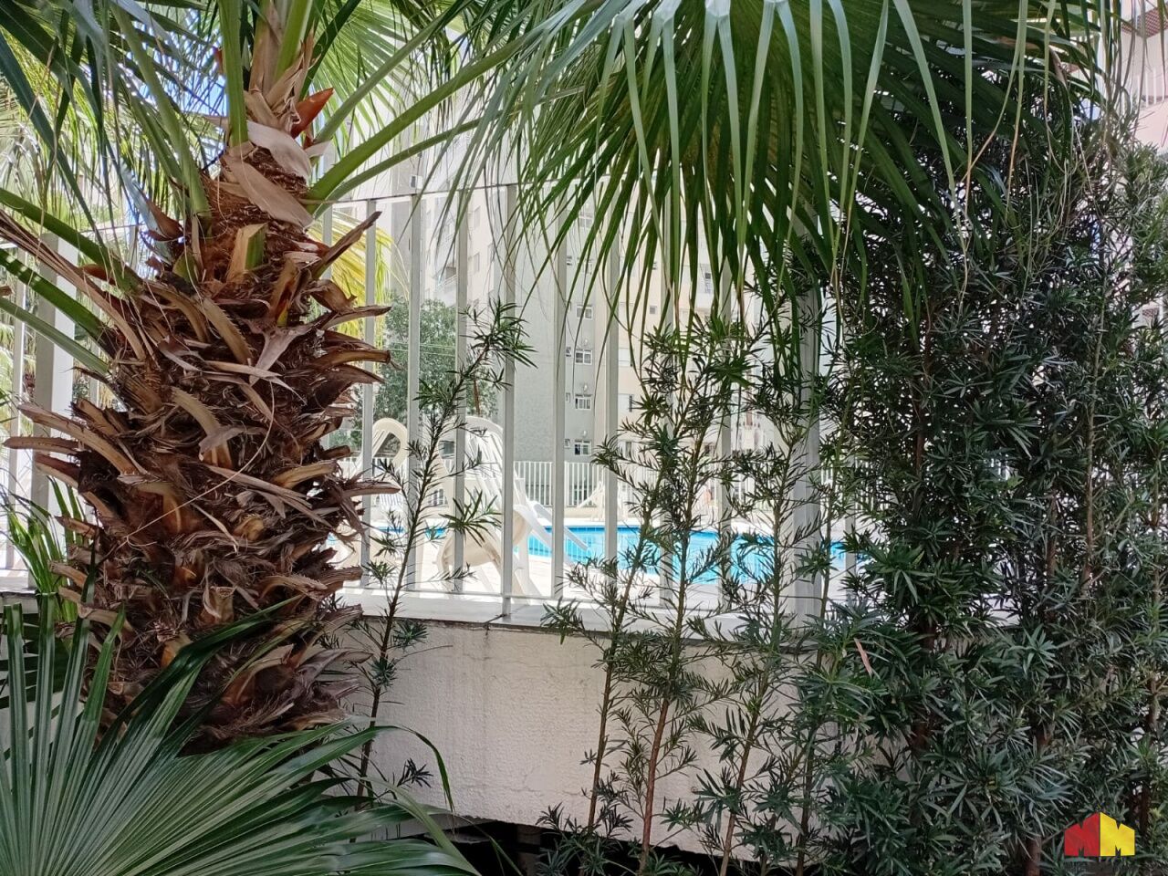 Foto 18 do imóvel MI17787