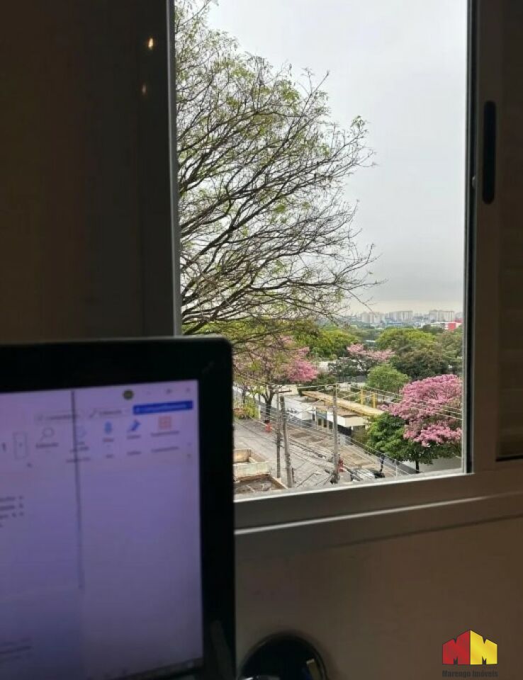 Foto 15 do imóvel MI17891