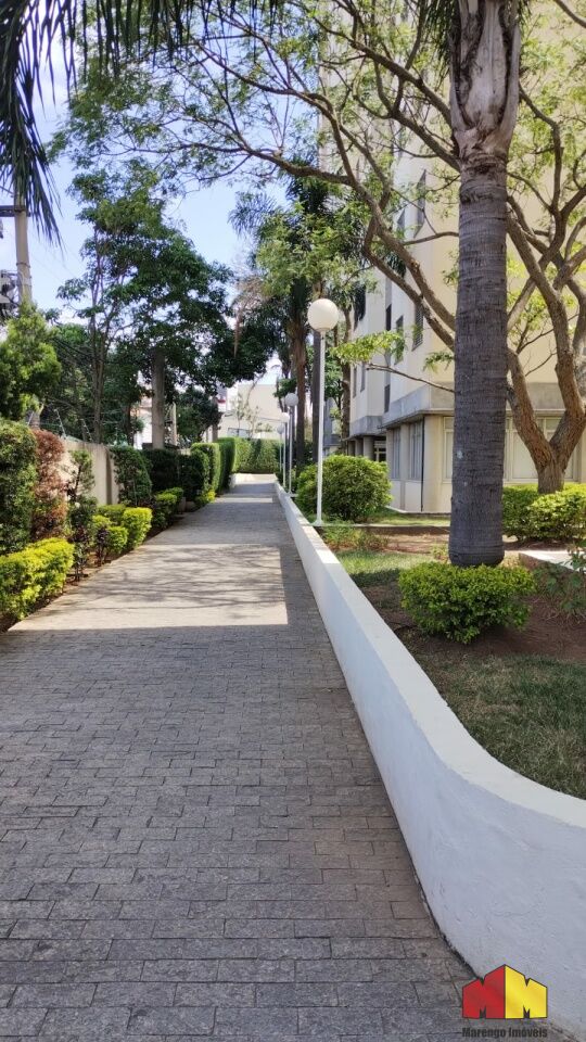 Foto 20 do imóvel MI17929