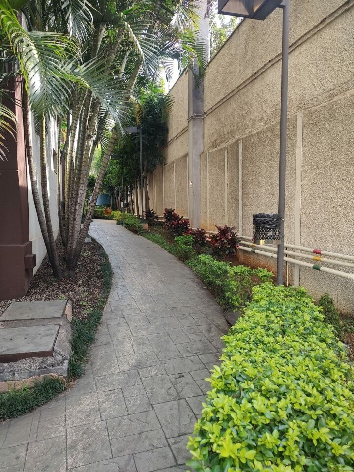 Apartamento para Locação - Cangaíba