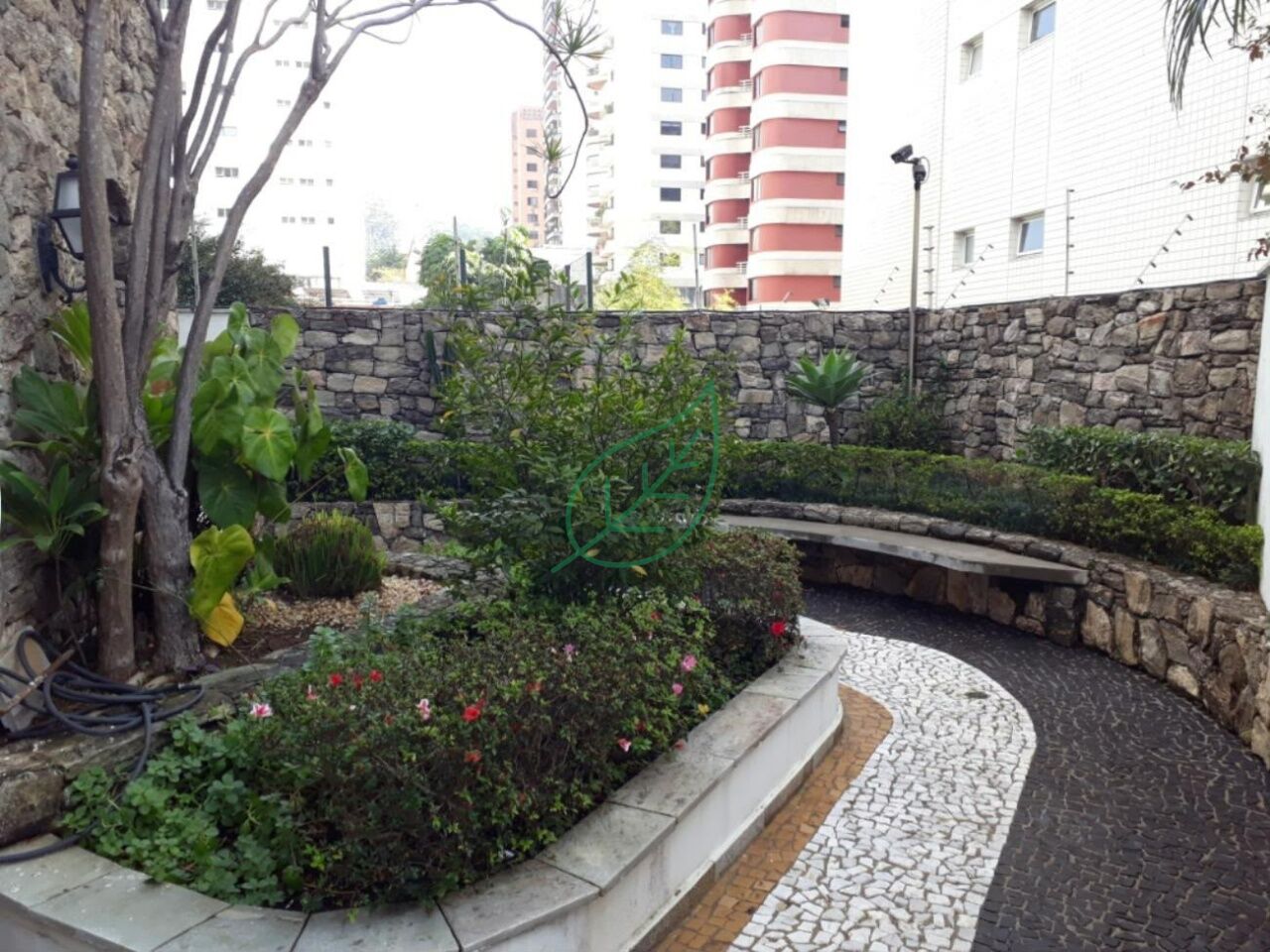Foto 6