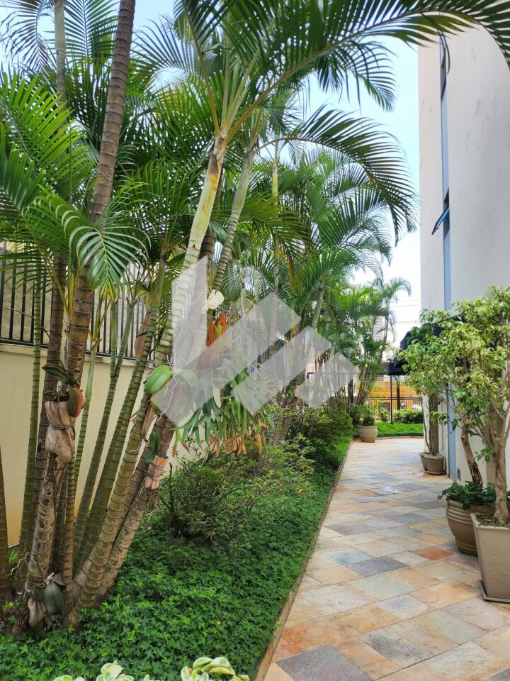 Apartamento para Venda - Vila Nova Conceição