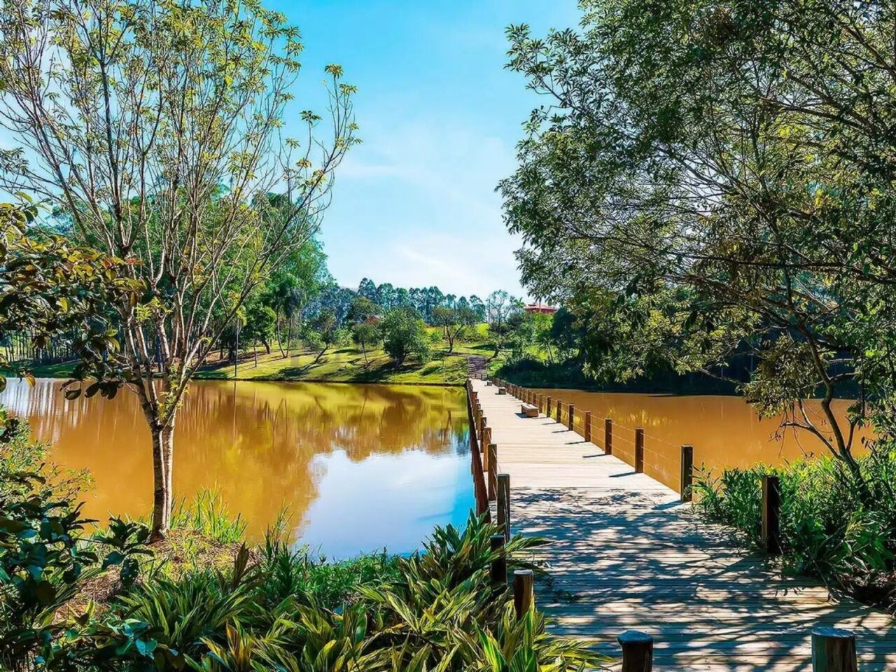 Terreno para Venda - Ponte Pequena