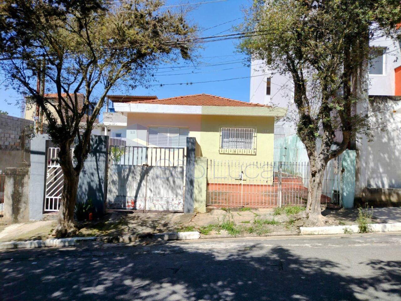 Terreno para Venda - Cidade Patriarca