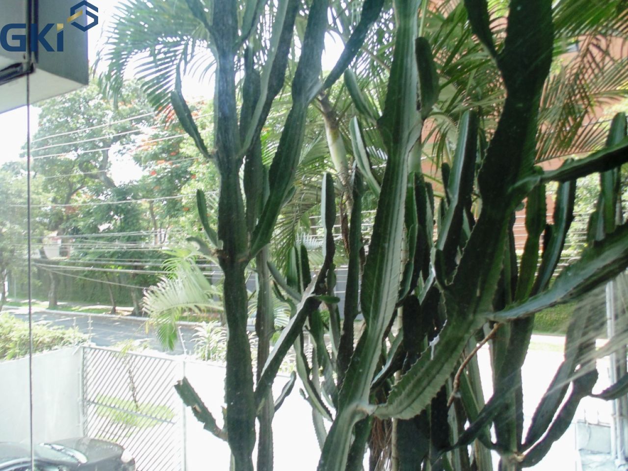 Conjunto Comercial-Sala à venda e aluguel, 440m² - Foto 12
