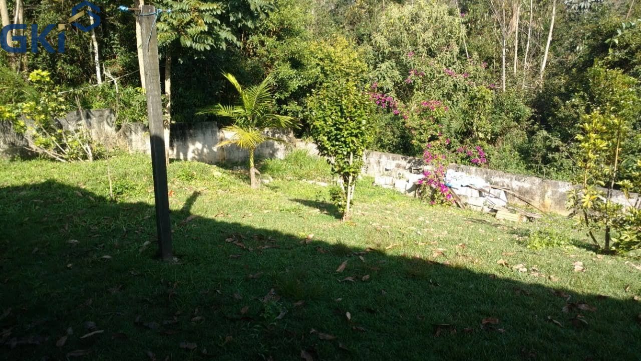 Foto 19