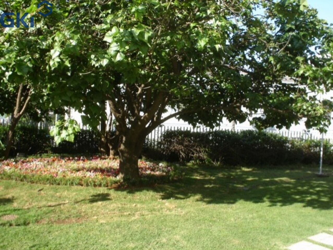Foto 16