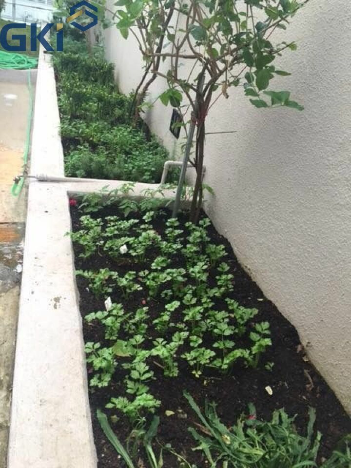 Foto 25