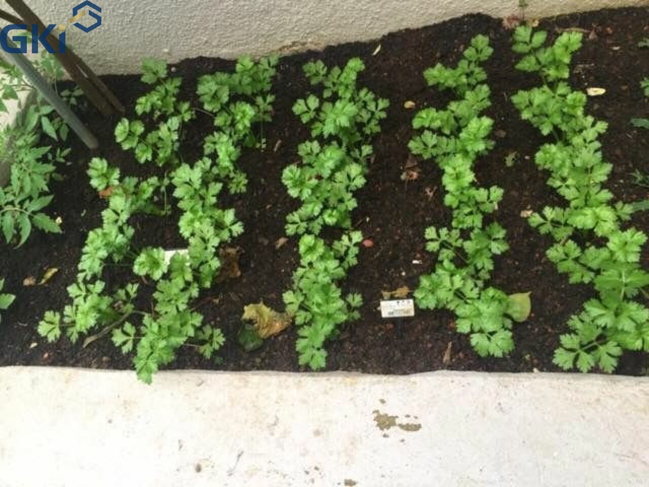 Foto 23