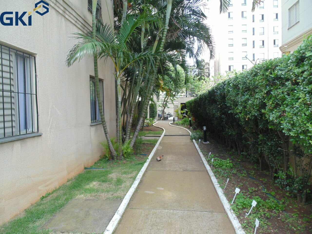 Apartamento, 2 quartos, 45 m² - Foto 23