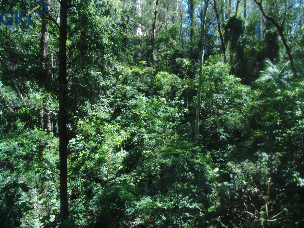 Apartamento, 4 quartos, 207 m² - Foto 6