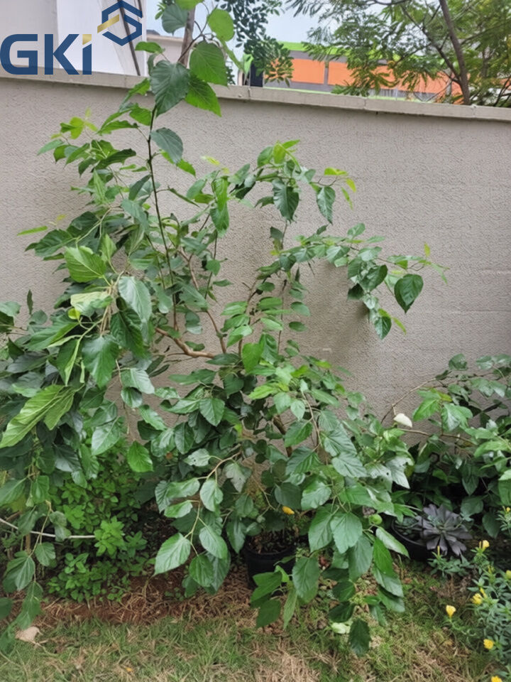 Apartamento, 3 quartos, 103 m² - Foto 20