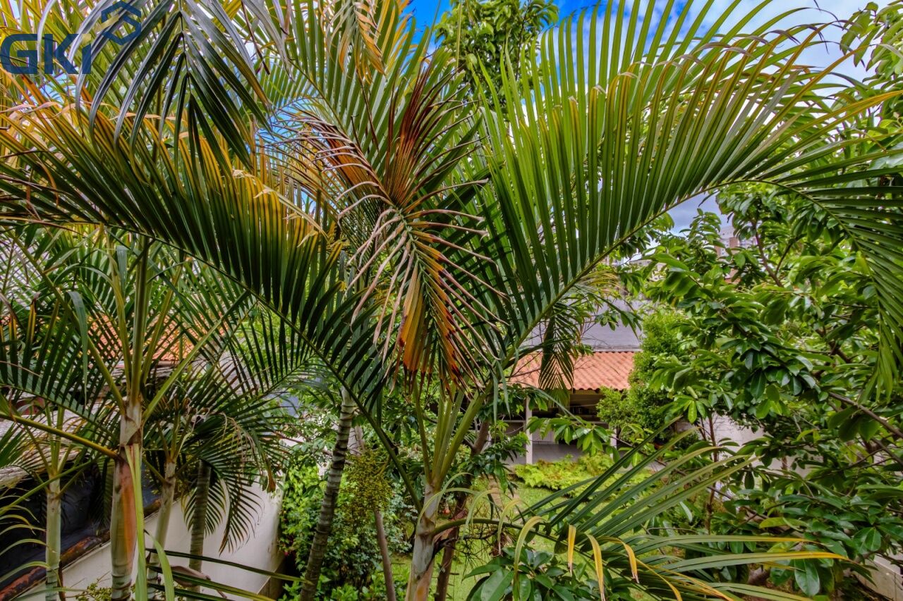 Casa, 4 quartos, 360 m² - Foto 37