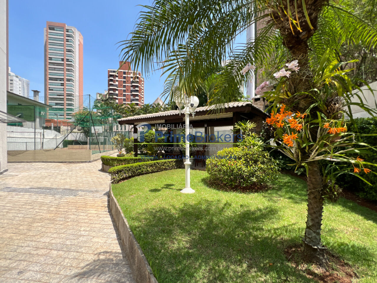 Foto 15
